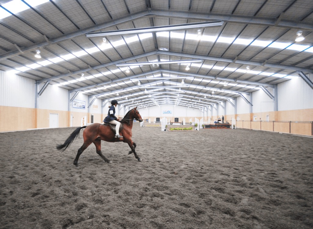 large scale horse shelter and stables by kiwispan