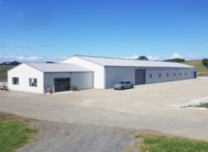 large horse stables and arena by kiwispan sheds
