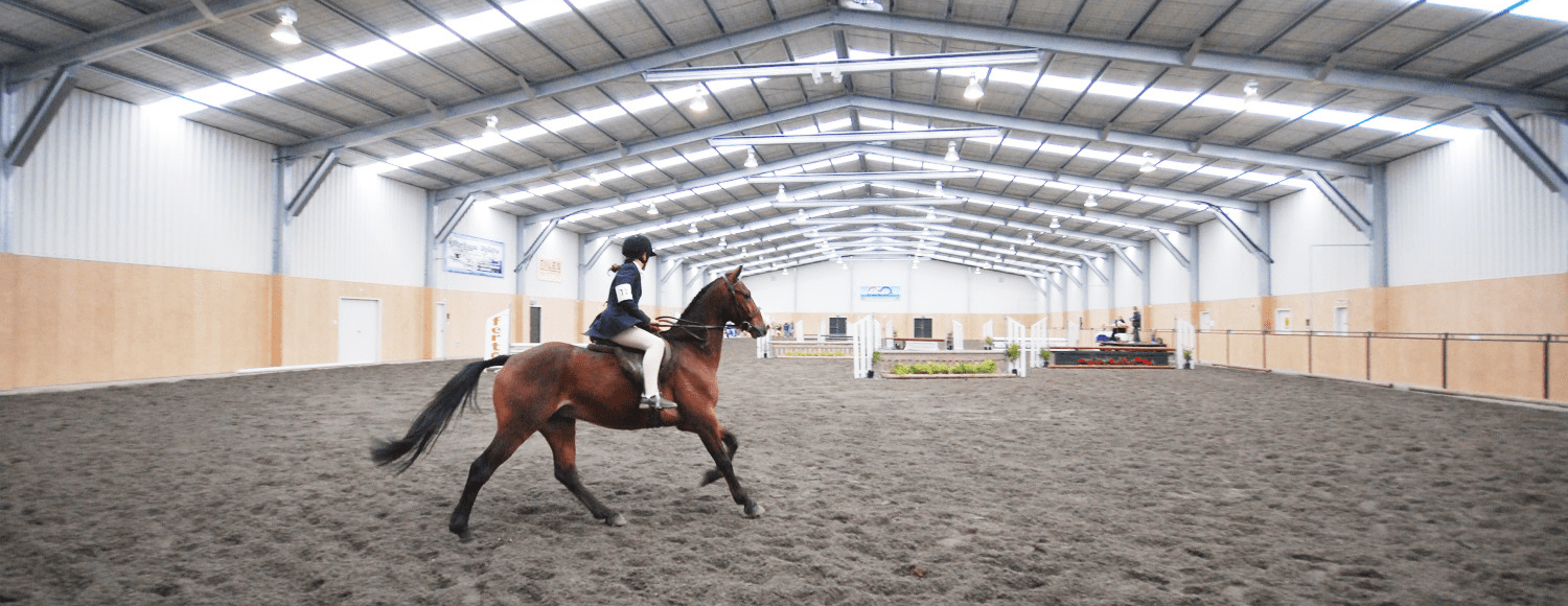a guide to steel equestrian stables